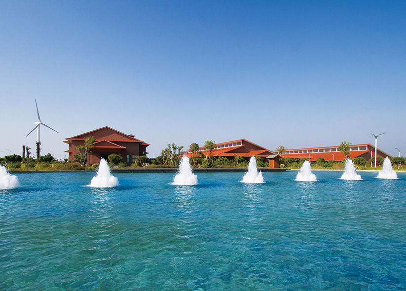 �����۵�